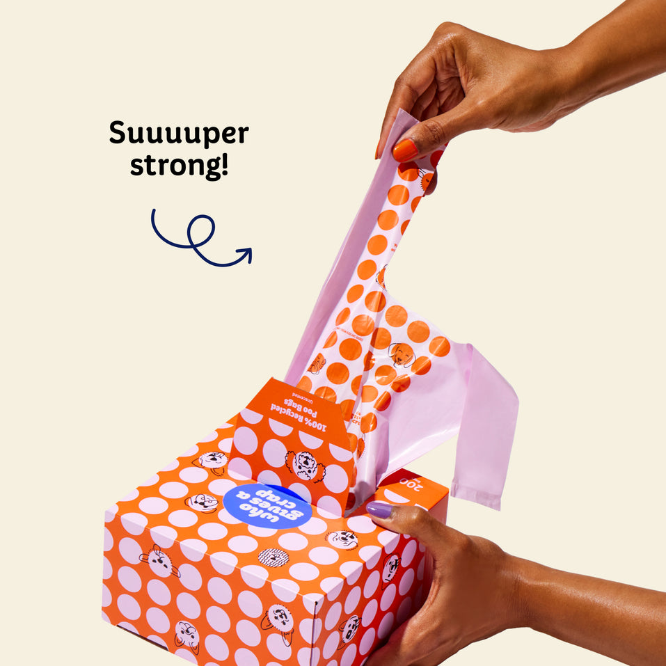 100% Recycled Poo Bags Who Gives A Crap USA - Main Image