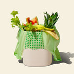 A green compostable food scrap bag filled with various fruit and vegetable scraps.