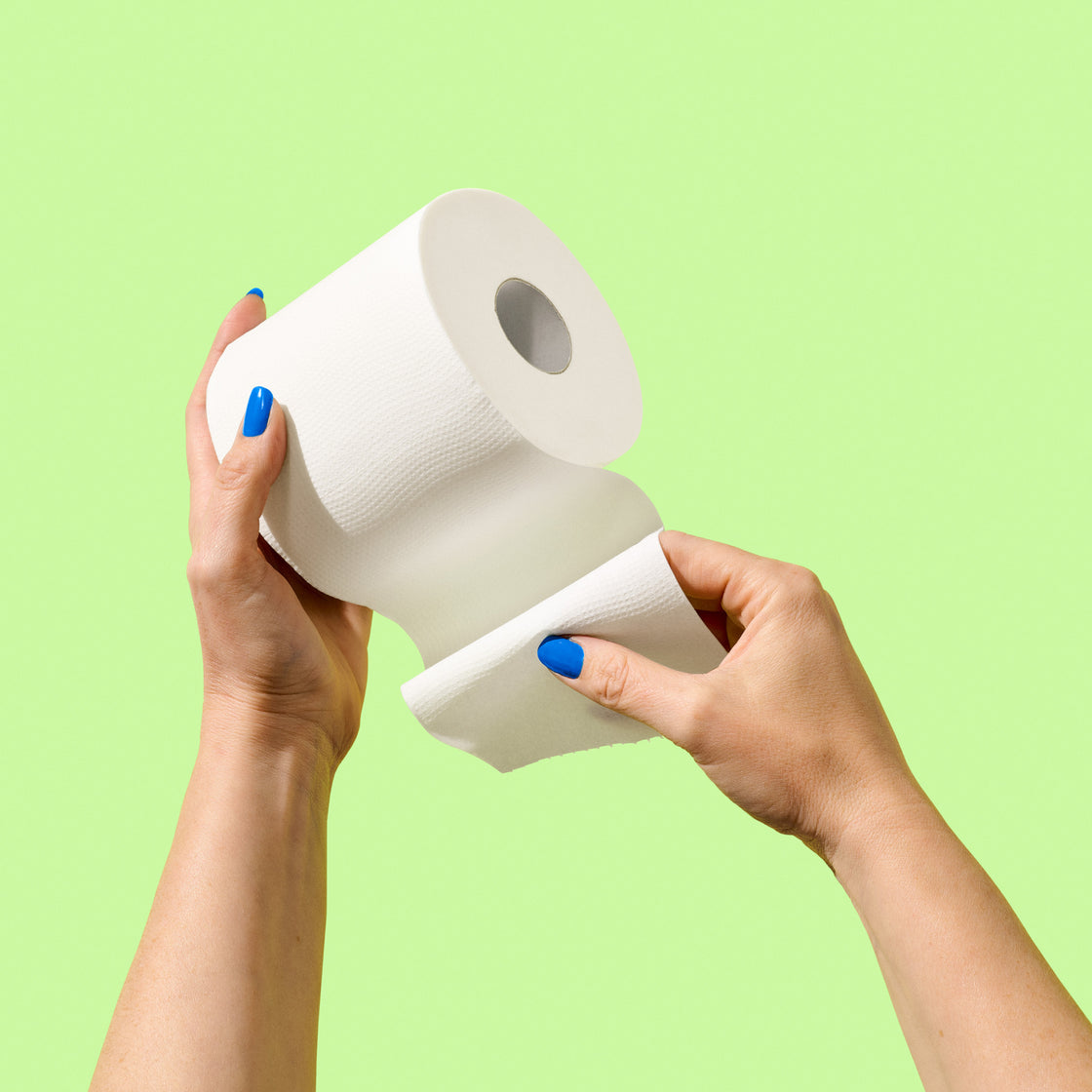 Western Family Paper Towels western-family-paper-towels